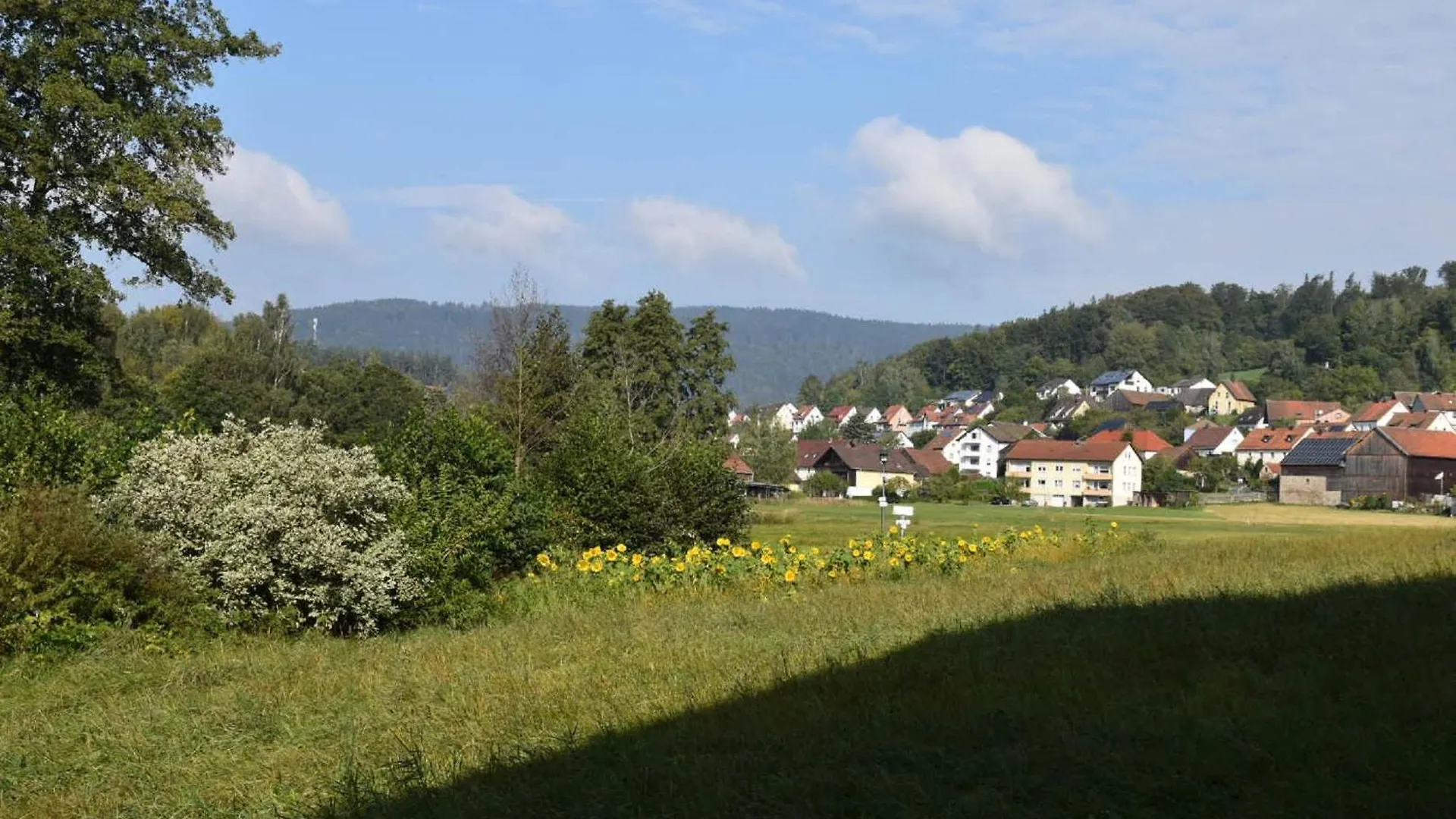 Gasthof Gaestehaus Am Schlossberg Friedenfels
